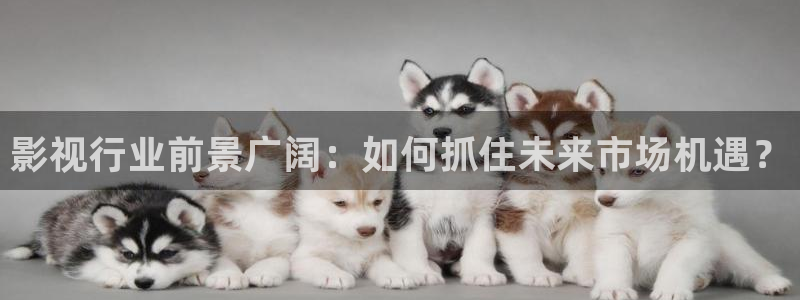 木瓜電影片：影視行業前景廣闊：如何抓住未來市場機遇？