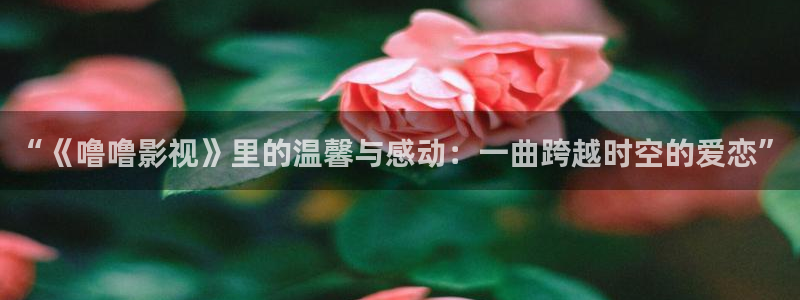 木瓜影院在線觀看：“《嚕嚕影視》里的溫馨與感動：一曲跨越時空的愛戀”
