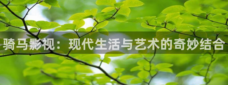 木瓜視頻電影：騎馬影視：現代生活與藝術的奇妙結合